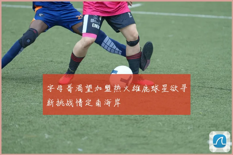 字母哥渴望加盟热火雄鹿球星欲寻新挑战情定南海岸
